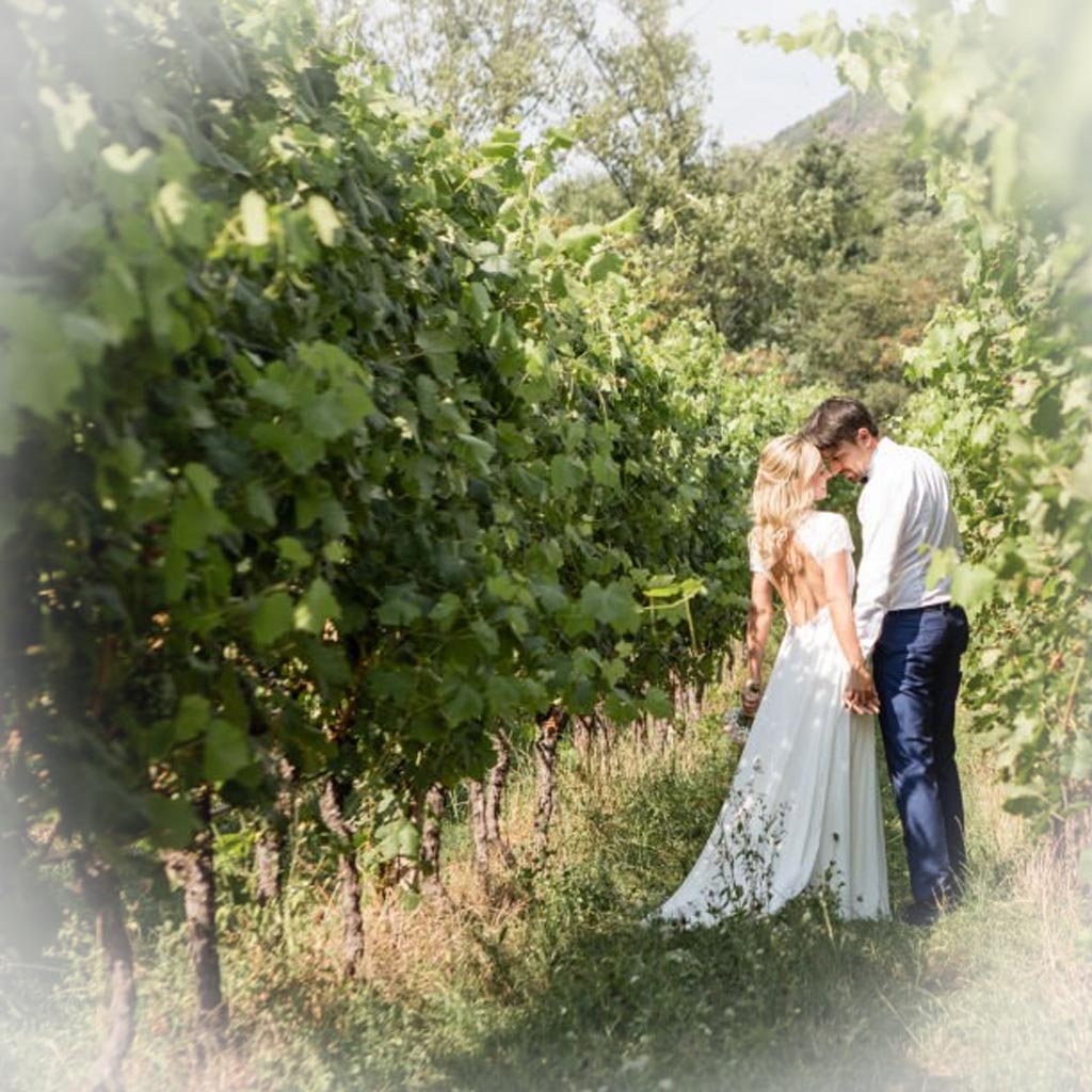 Vineyard Vows